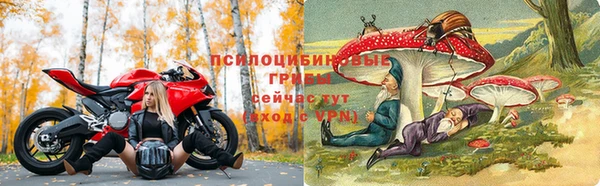 дмт Алзамай